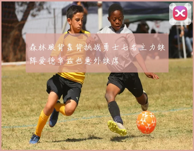 森林狼背靠背挑战勇士七名主力缺阵爱德华兹也意外缺席