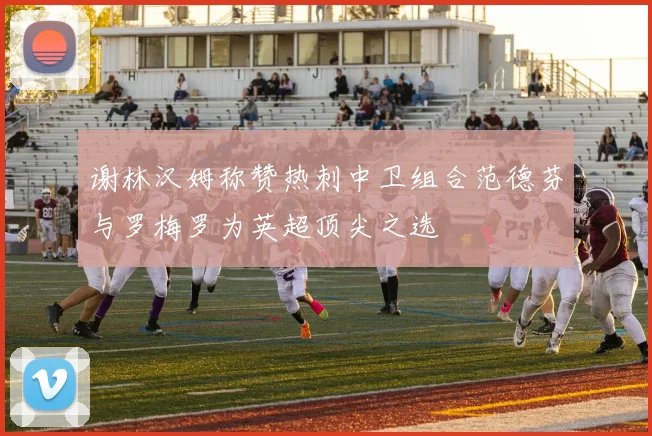 谢林汉姆称赞热刺中卫组合范德芬与罗梅罗为英超顶尖之选