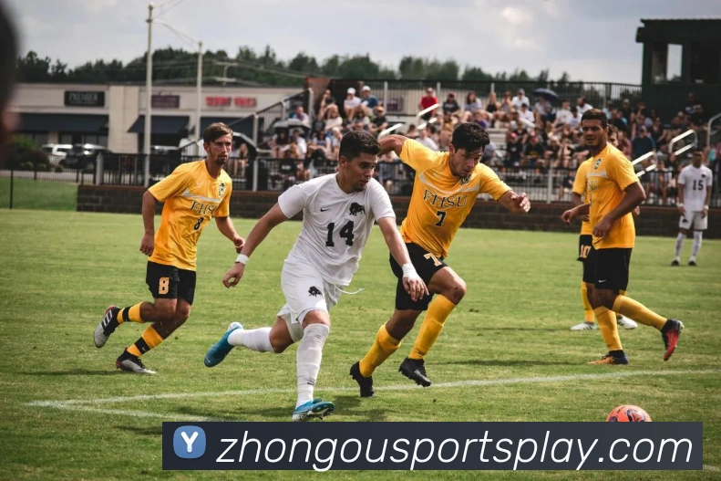 多媒体互动体验